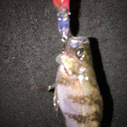 仕事終わりに…