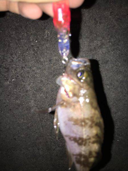 仕事終わりに…