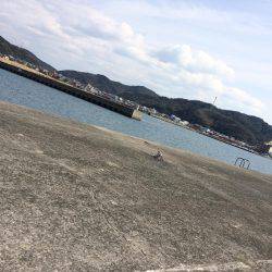 静かな漁港からの大物