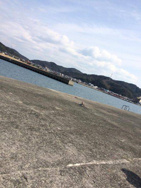 静かな漁港からの大物