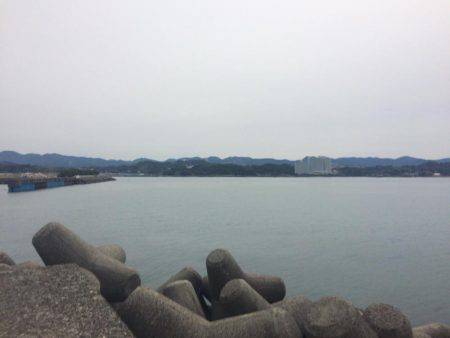 ノッコミマダイ連続Get!