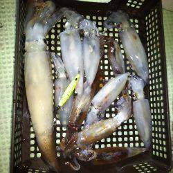 イカメタル&ヒラメ