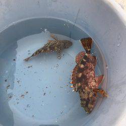 遠征ガッシー^_^