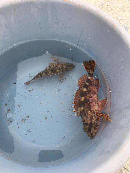 遠征ガッシー^_^