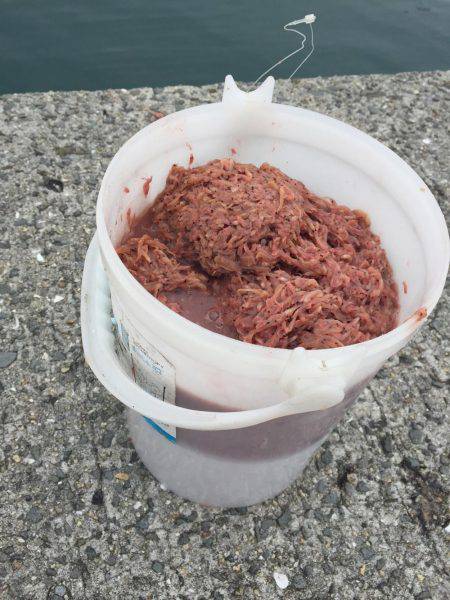 鰯の祭りーーー！