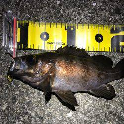 強風プラッキング