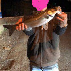 久々のシーバス！