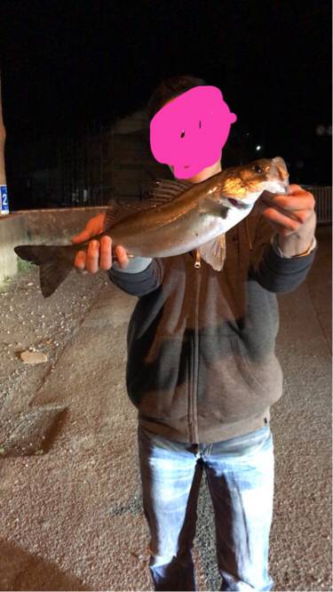 久々のシーバス！