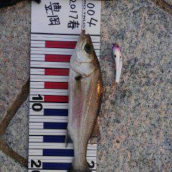 かぶと山公園にて