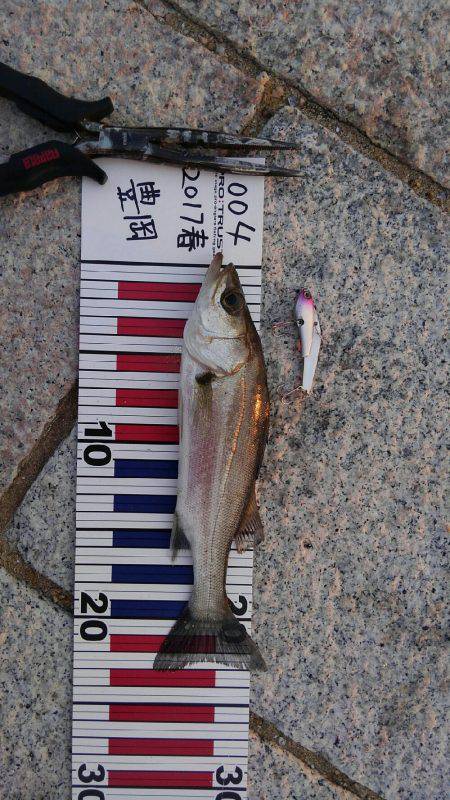 かぶと山公園にて