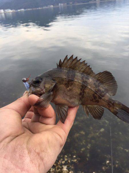 デイメバリング