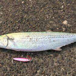 ショアジギング