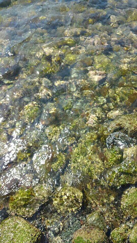 ショアジギング