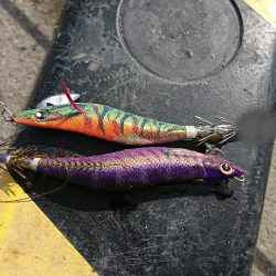 危うく坊主！何とか１杯GETできました