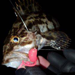 ロックロックこんばんわ。2