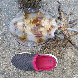 それはズルい！