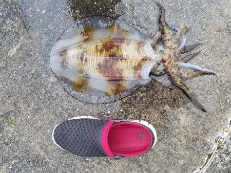 それはズルい！