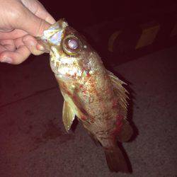 聞いてたのと違う！