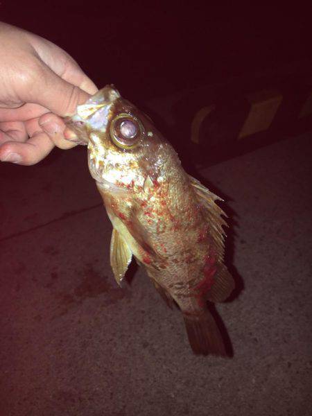 聞いてたのと違う！