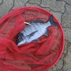 釣れれば、いいじゃん！