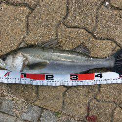 本命キタコレ!!