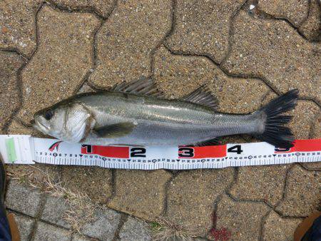 本命キタコレ!!