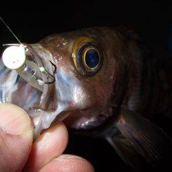 自作ロッドホルダー