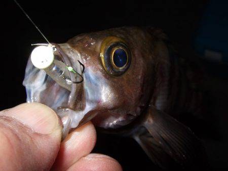 自作ロッドホルダー