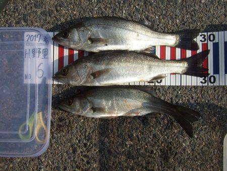 鳥取遠征。1日目