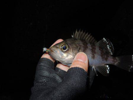 小さいながらも反応出て来ました。