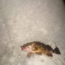 メバリングのつもり