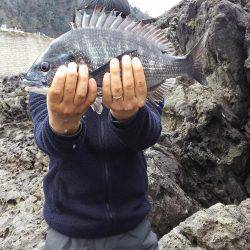 ひさしぶりの香住で、いろいろ釣れた。