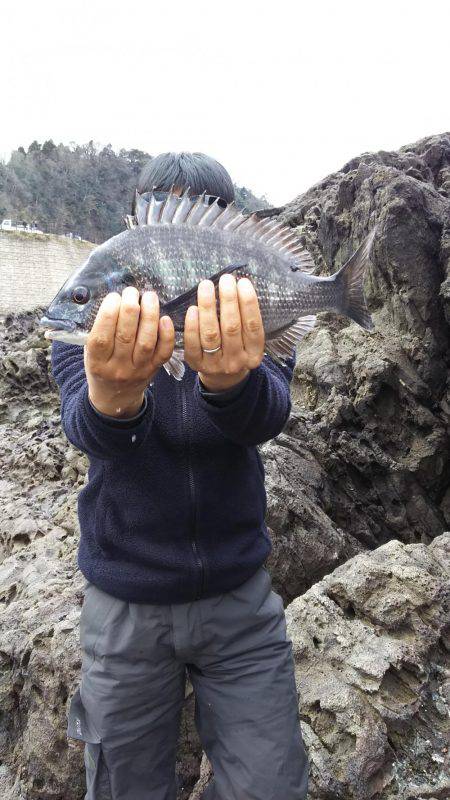 ひさしぶりの香住で、いろいろ釣れた。