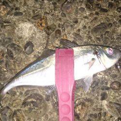 ニューロッドにて