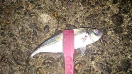 ニューロッドにて