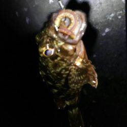 昨日と同じなのに