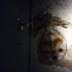 ちょっとびっくり‼