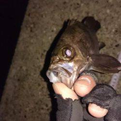 ご近所メバリング