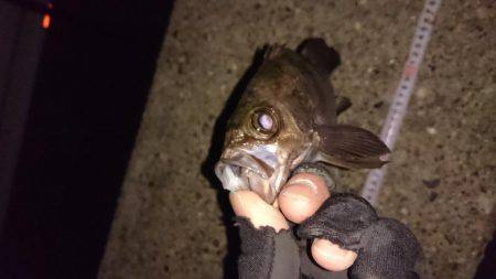 ご近所メバリング