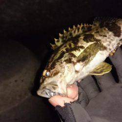 プラグのちワインド