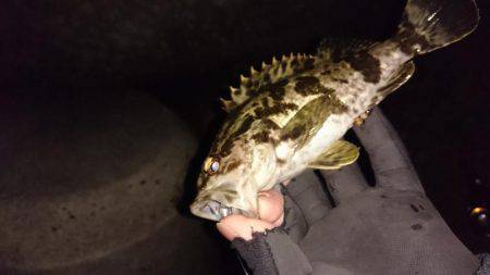 プラグのちワインド