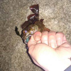 江井ヶ島にて延長戦！