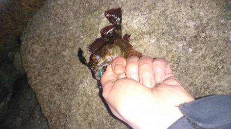 江井ヶ島にて延長戦！