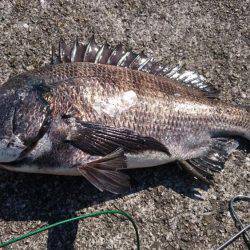 強風の西宮ケーソン