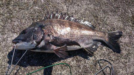 強風の西宮ケーソン