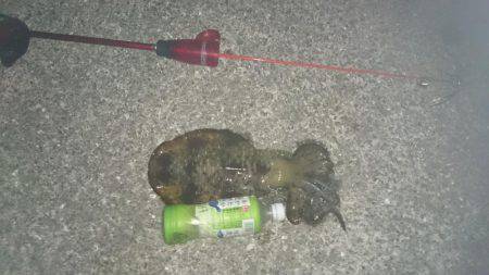 朝まずめと夜まで大型春イカ狙いで！