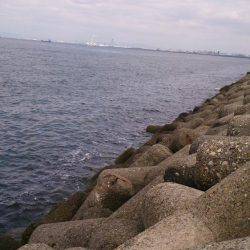 癒しを求めて ガシラ