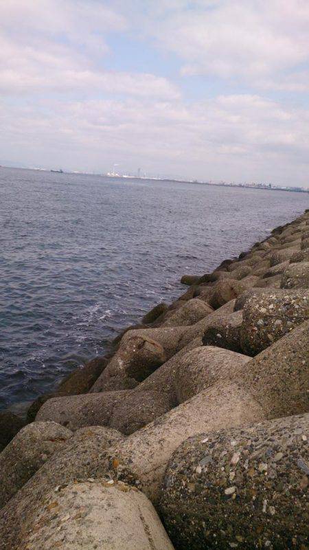 癒しを求めて ガシラ