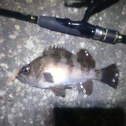 風があろうが。