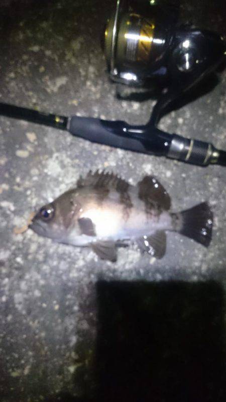 風があろうが。